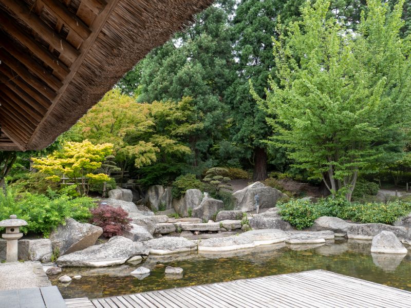 Ein Foto vom japanischen Garten in Hamburg aus dem Jahr 2025